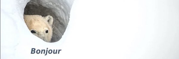 MrNutz111 Profile Banner