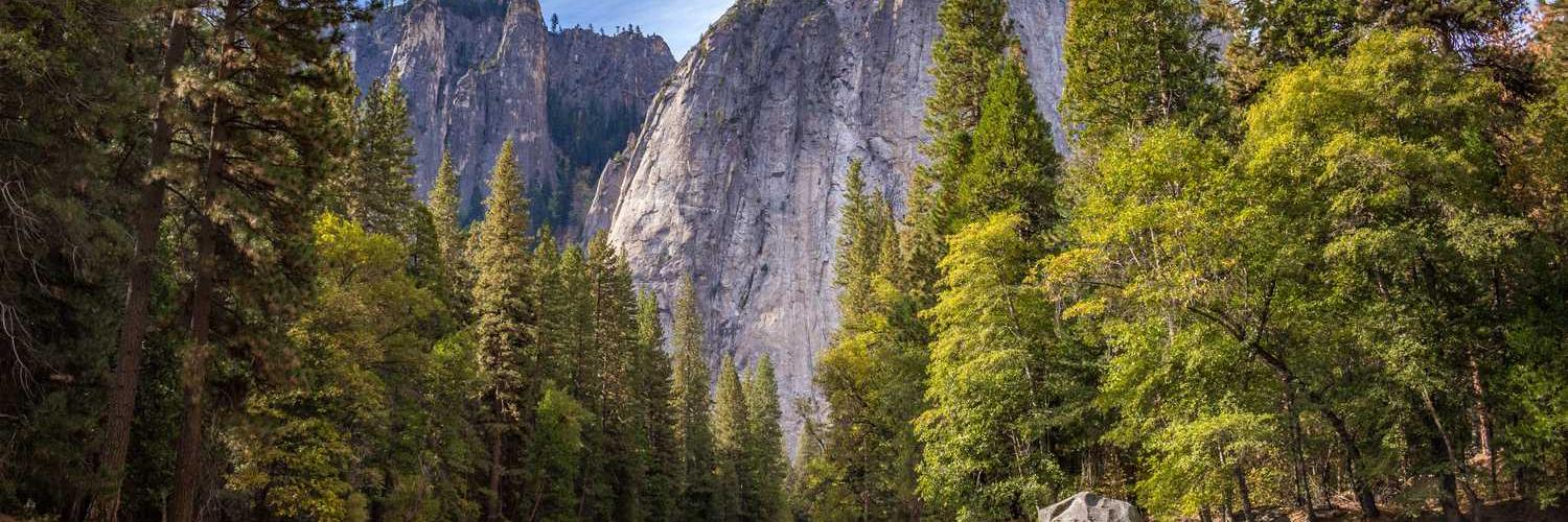 rhenakitty❤️ Memecoin banner