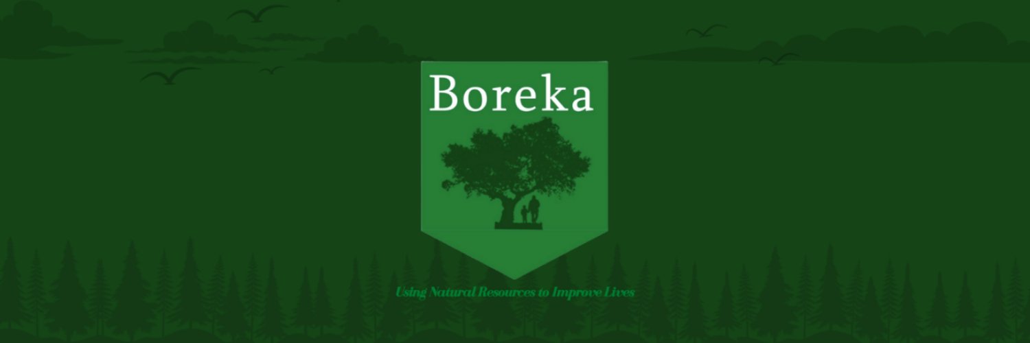 Boreka banner