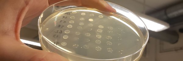 JagodnikScience Profile Banner