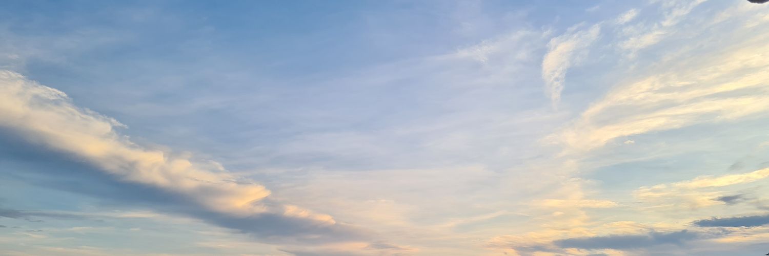 delphinite's profile banner image