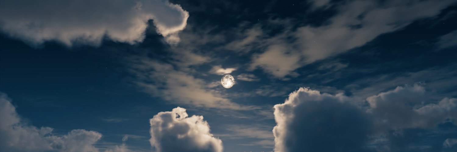 dumftrav's profile banner image