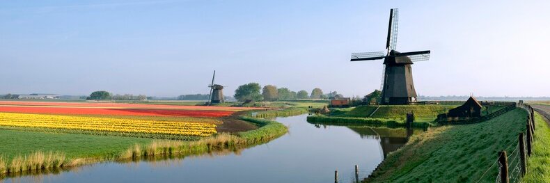 Embajada de Países Bajos en Panamá banner