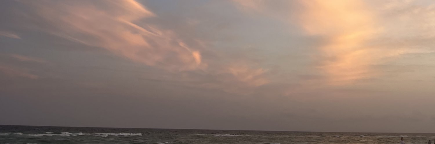 tayloripema's profile banner image