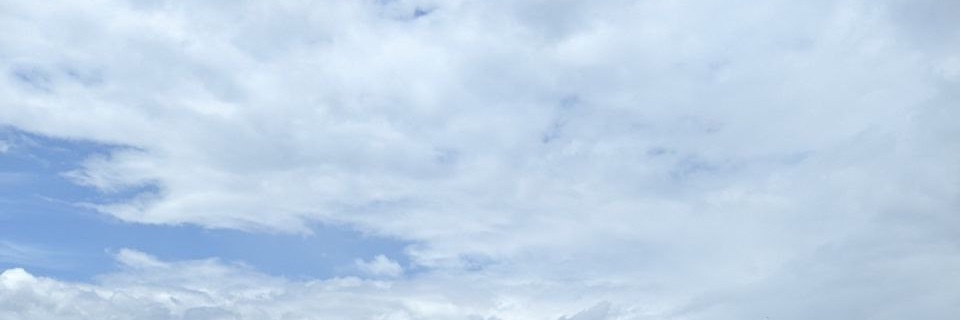 Giovanni Comarela banner