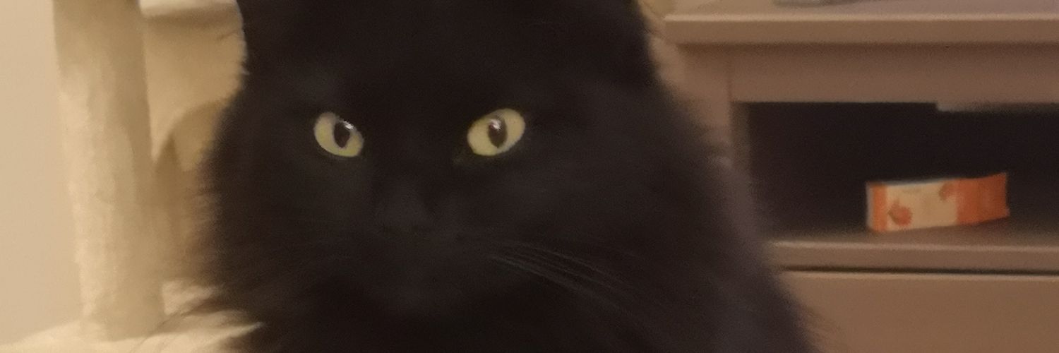 hughcakecat's profile banner image