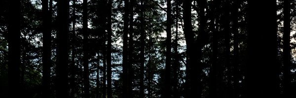luksypher Profile Banner