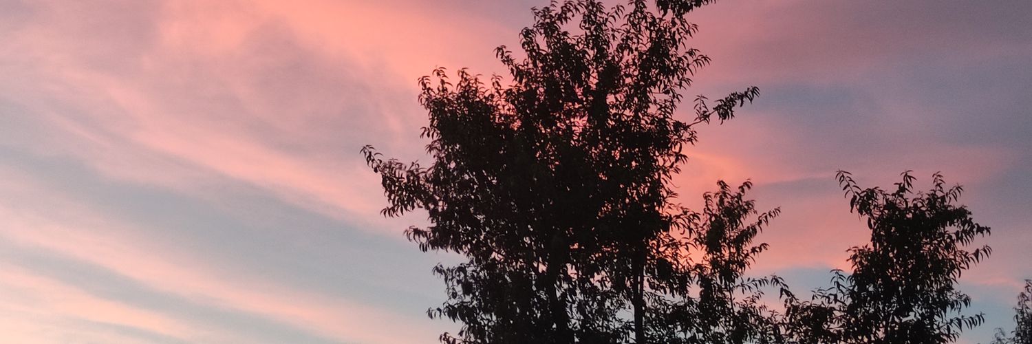 kubbdi's profile banner image