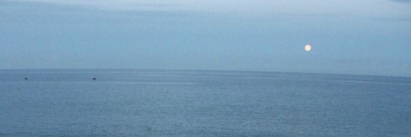 lotu3_ Profile Banner