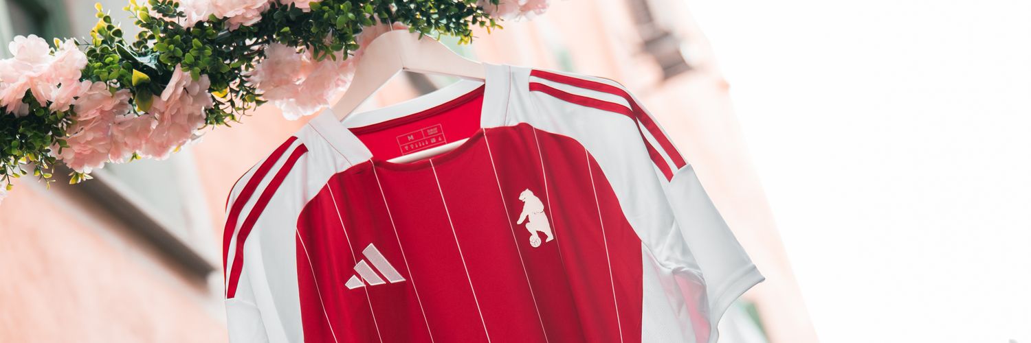 ACAjaccio's profile banner image