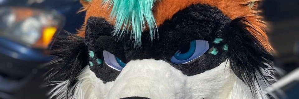 RENNPANDA's profile banner image