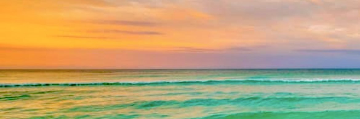 CariLMurphy's profile banner image