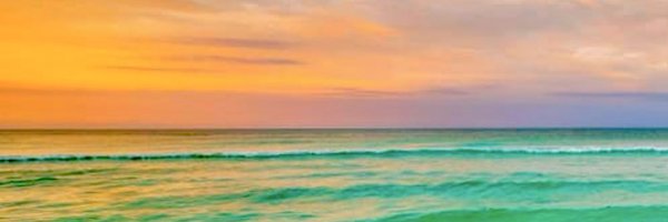 CariLMurphy Profile Banner