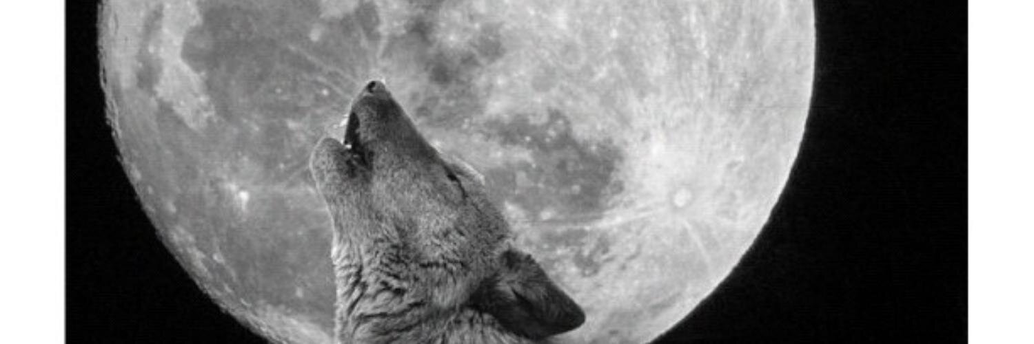 punpotnam's profile banner image
