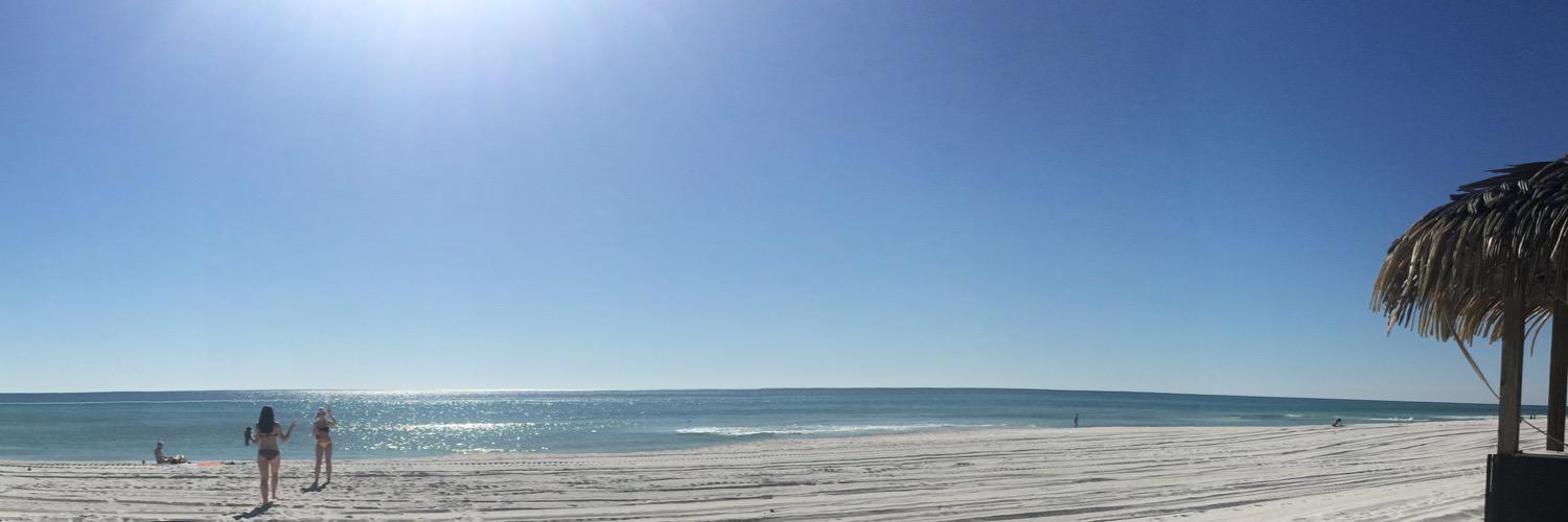 mollypaynee's profile banner image