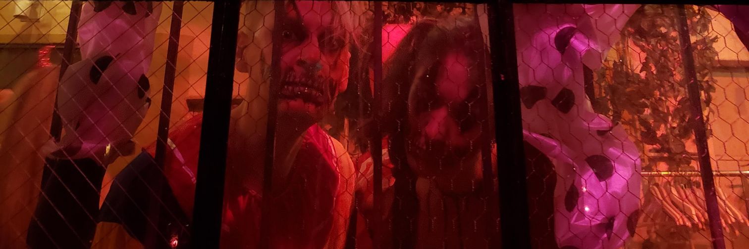RxSlaughter's profile banner image