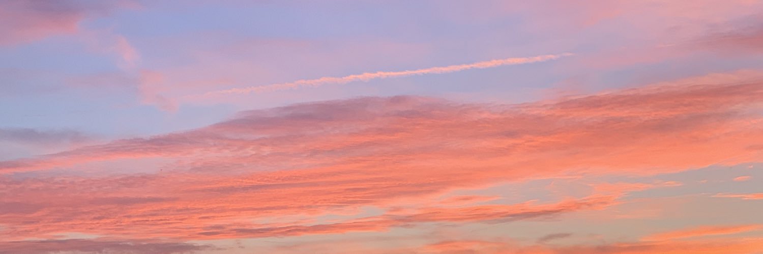 Liz banner
