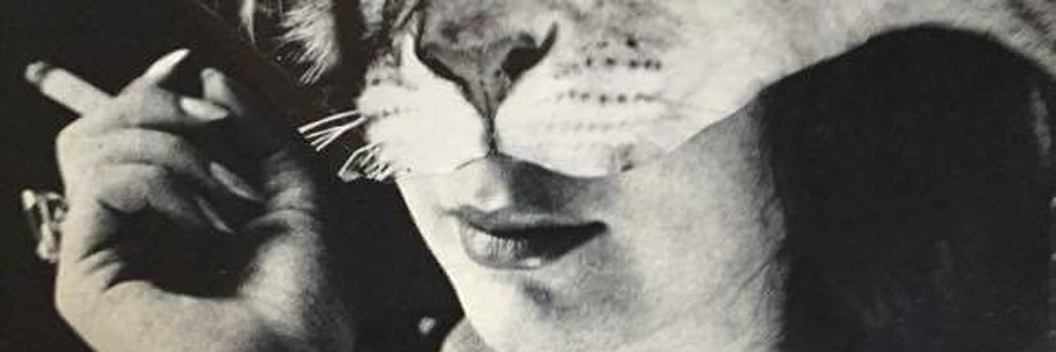 misskodi's profile banner image
