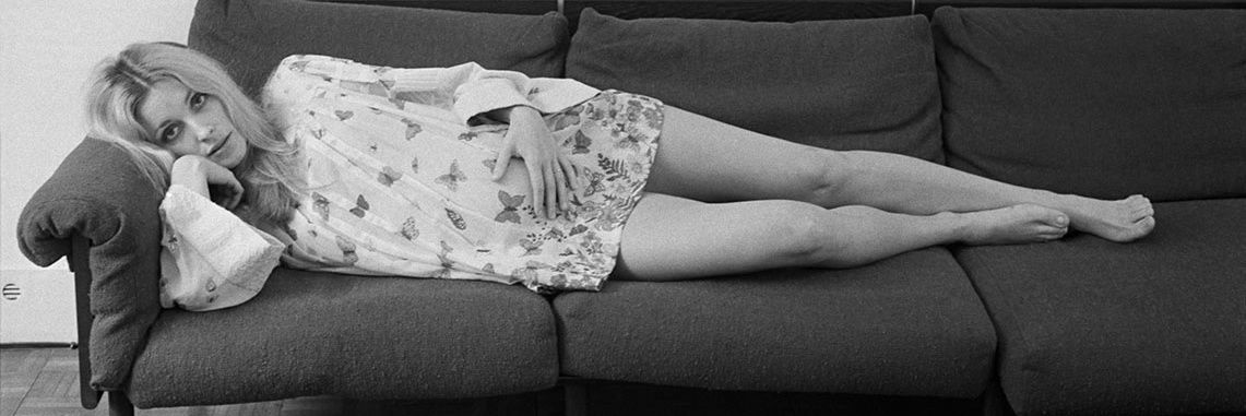 𝐒𝐇𝐀𝐑𝐎𝐍 banner