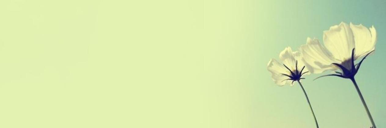 bryanaa's profile banner image