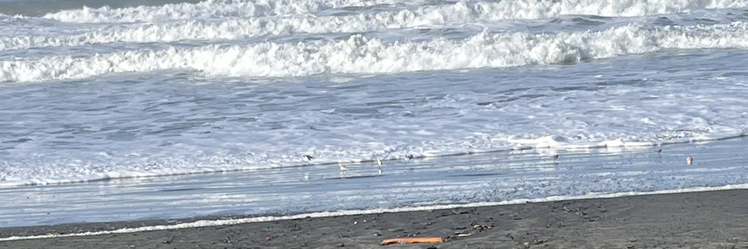 Stepdad Draper banner