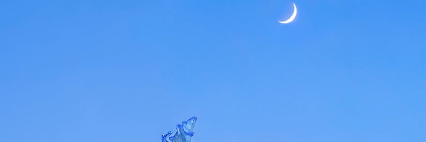 winterrainze's profile banner image