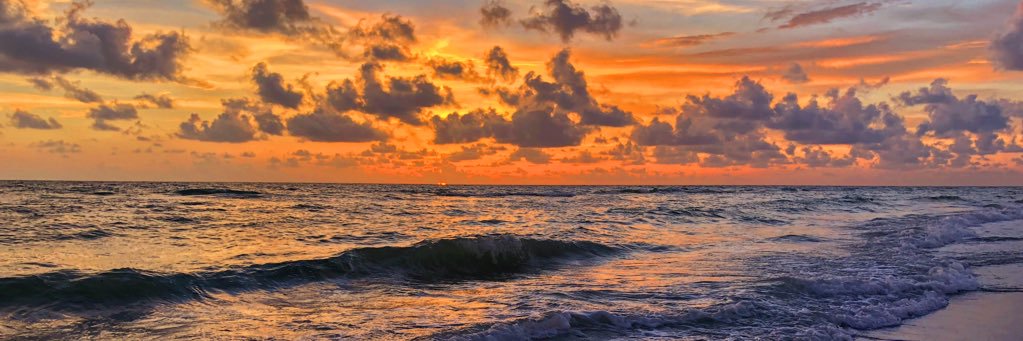 d_fitzrandolph's profile banner image