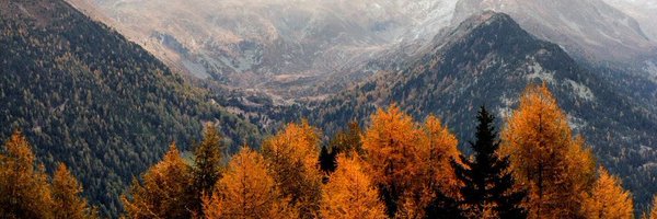 wwuf_f Profile Banner