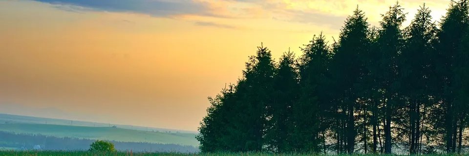 Subhoshridas's profile banner image