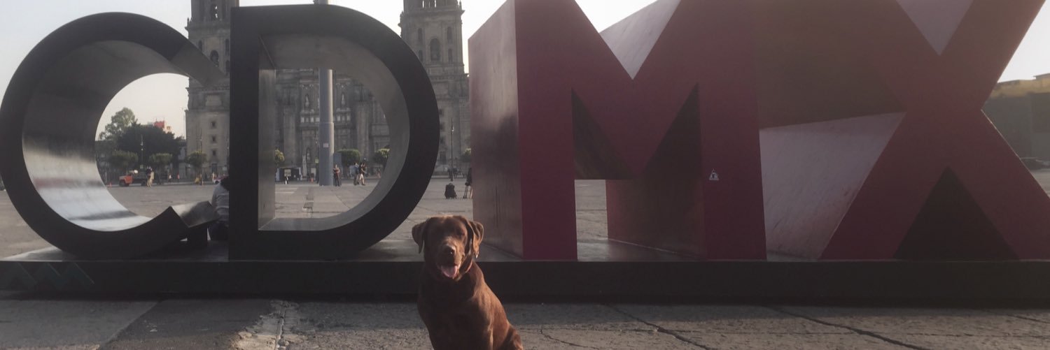 aRa_md's profile banner image