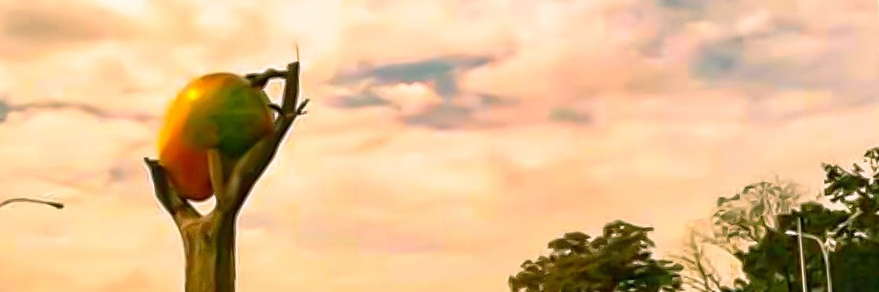 manosw's profile banner image