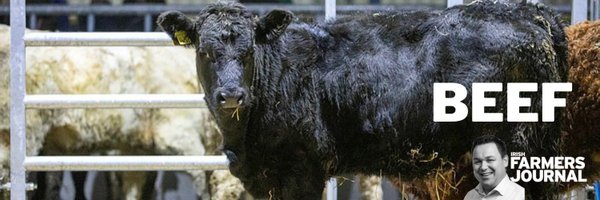 FJBeef Profile Banner