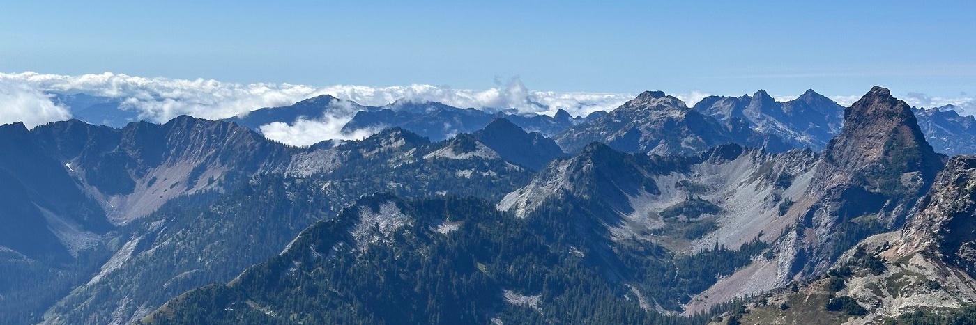 Stephen Johnson banner