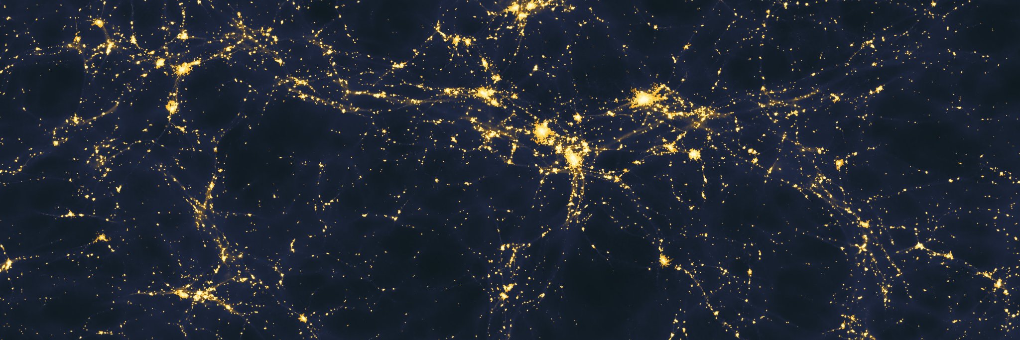 Sergey Vasilyev banner