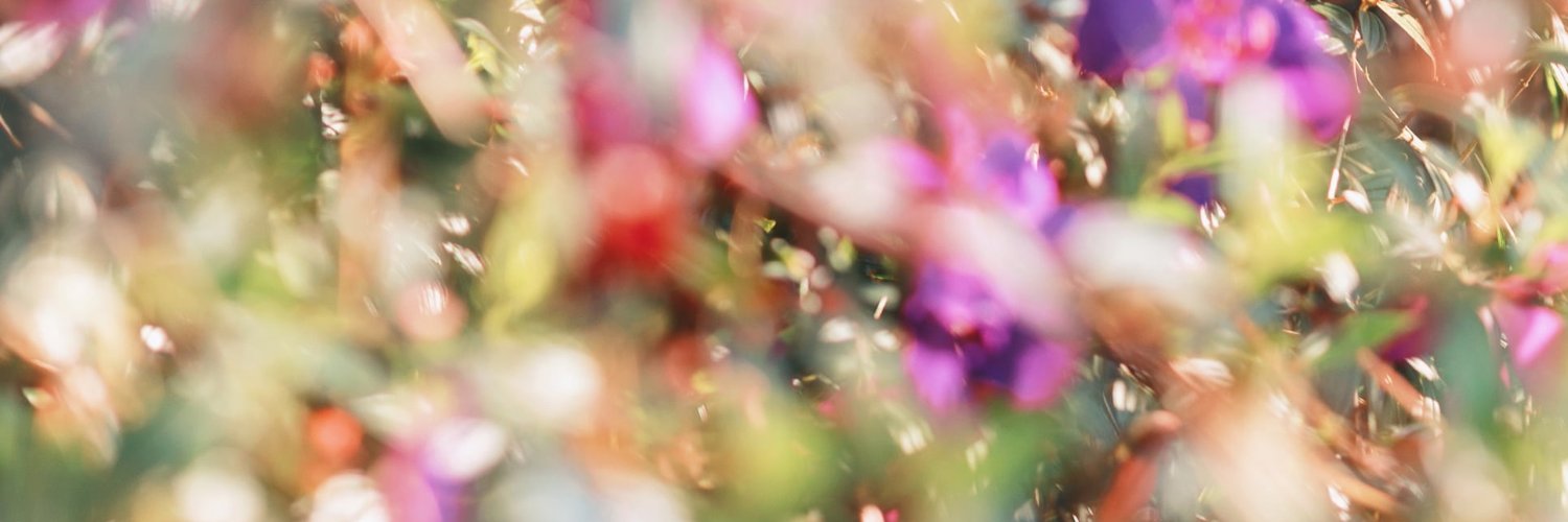 lena Shkonko (💙,🧡) 🌊🏆🛸🐰🔴✨🦇🔊❤️ Memecoin banner