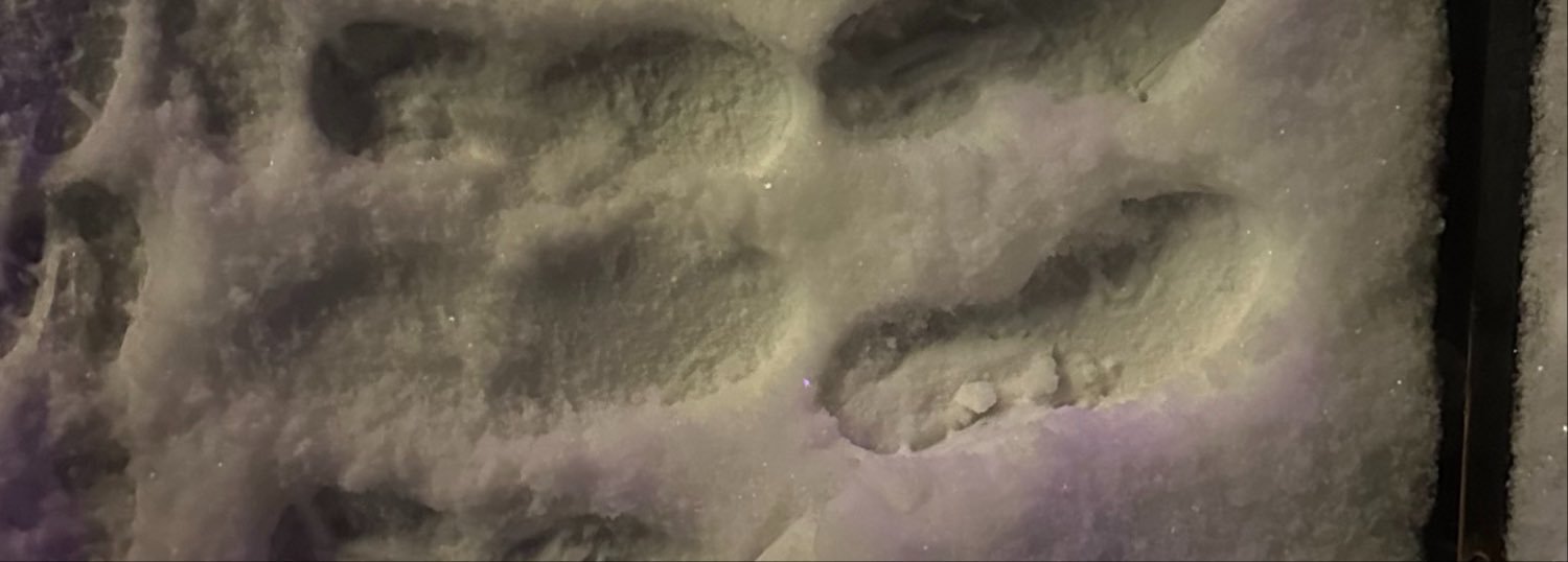 lyynnbbb's profile banner image