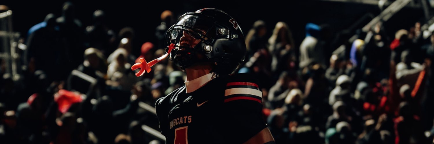 caseton sendry banner