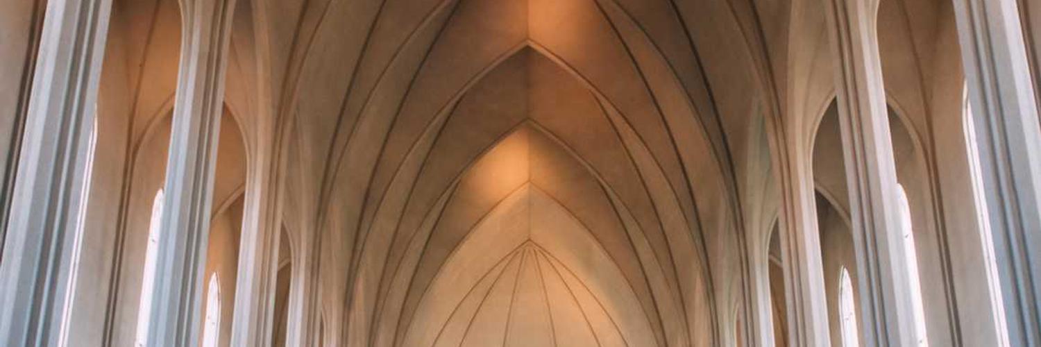 Kayla❤️ Memecoin banner