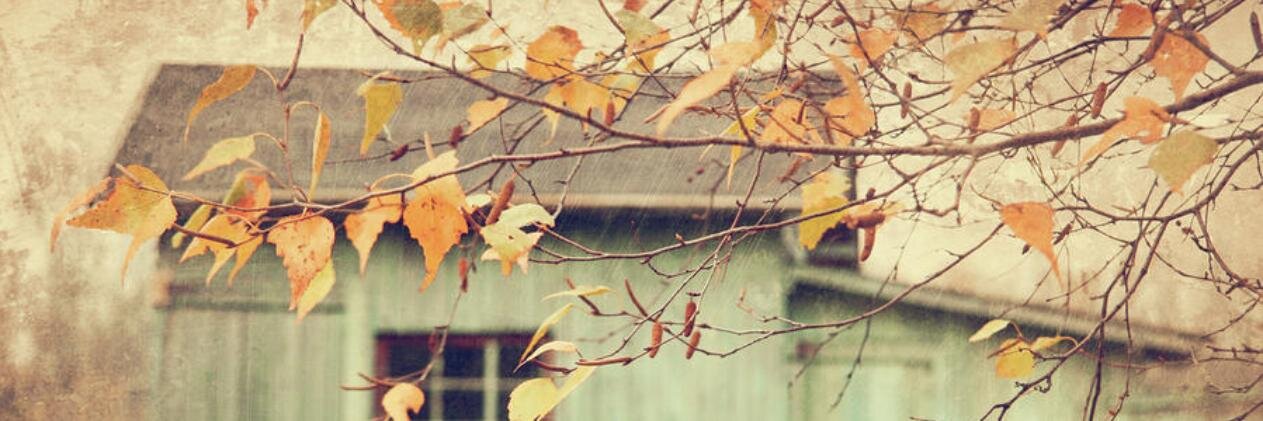 Katy_Hendry's profile banner image