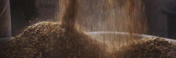 DuelBrewing's profile banner image