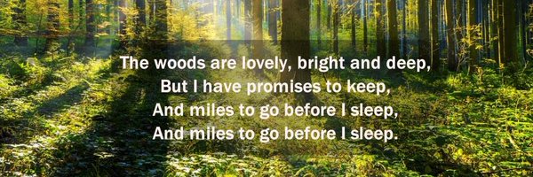 aflorezf Profile Banner