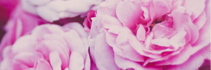 00katya01's profile banner image