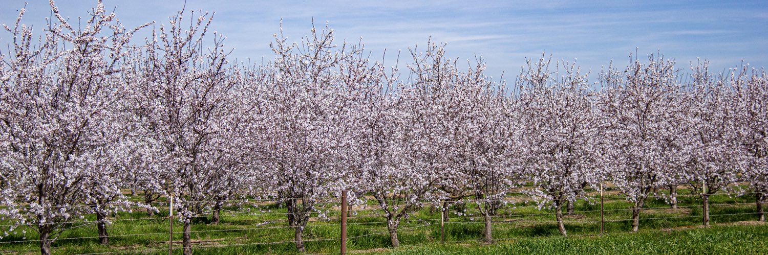 Rep. John Duarte (CA-13) banner