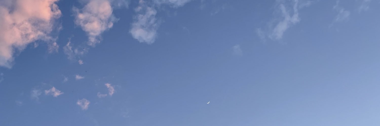 sil🩵 banner