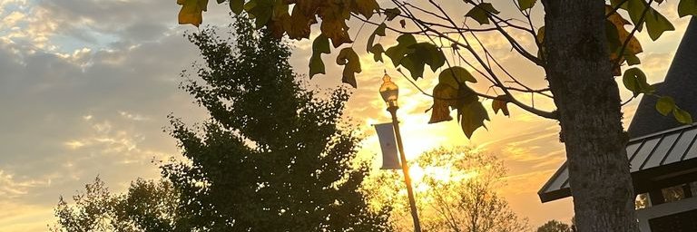 acontec94145245's profile banner image