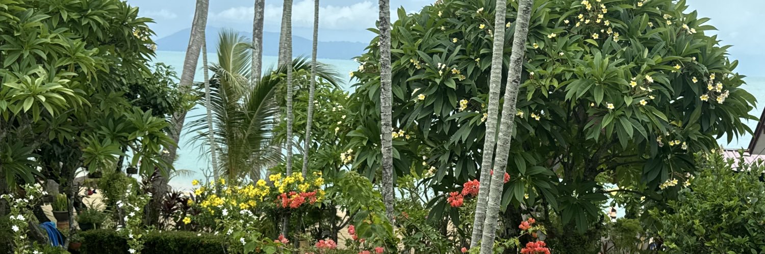 schotzy84's profile banner image