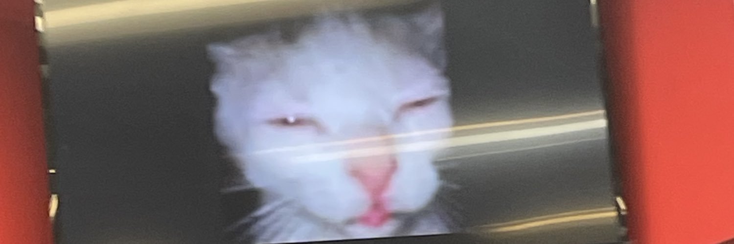 nonbardnary's profile banner image