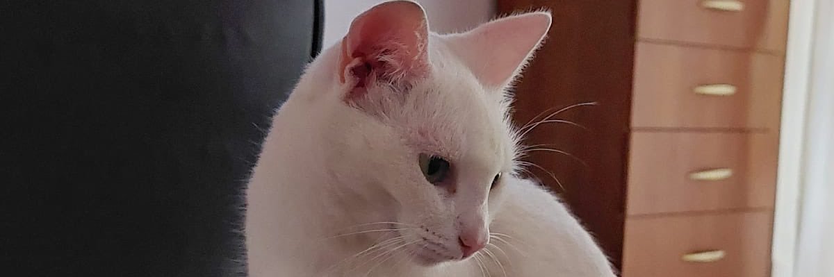 santicdelgado's profile banner image