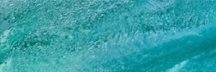 surfhive's profile banner image