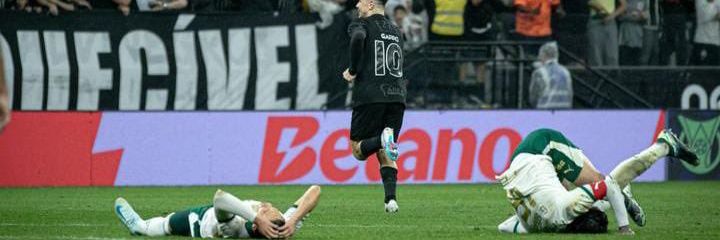 marqs ˢᶜᶜᵖ banner